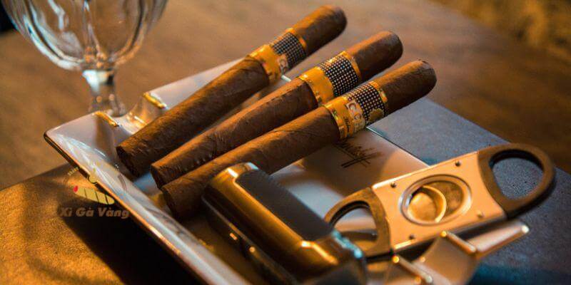 Hương vị và độ mạnh của xì gà